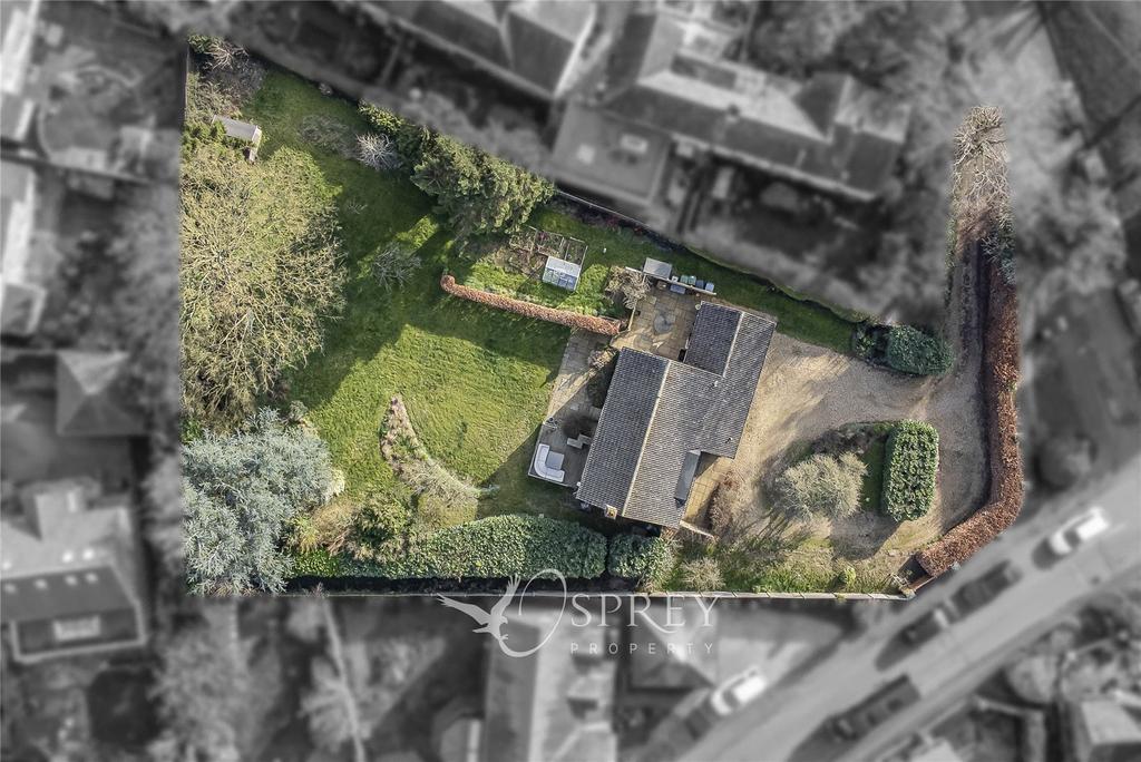 Plot View