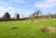Additional image 16 of New Street, Lampeter, SA48