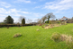 Additional image 40 of New Street, Lampeter, SA48