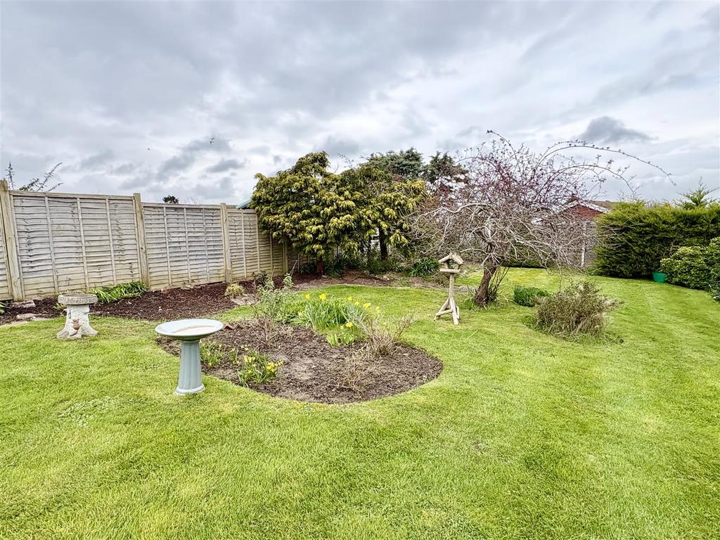 IMG 9852.jpeg