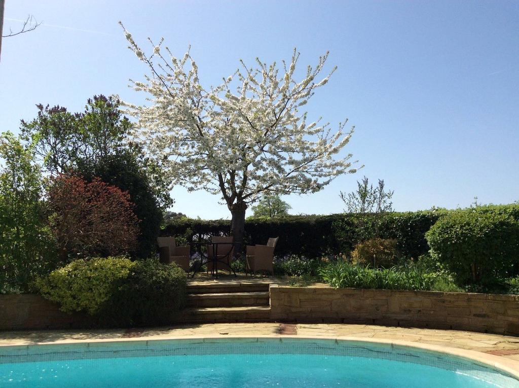 Pool During Summer