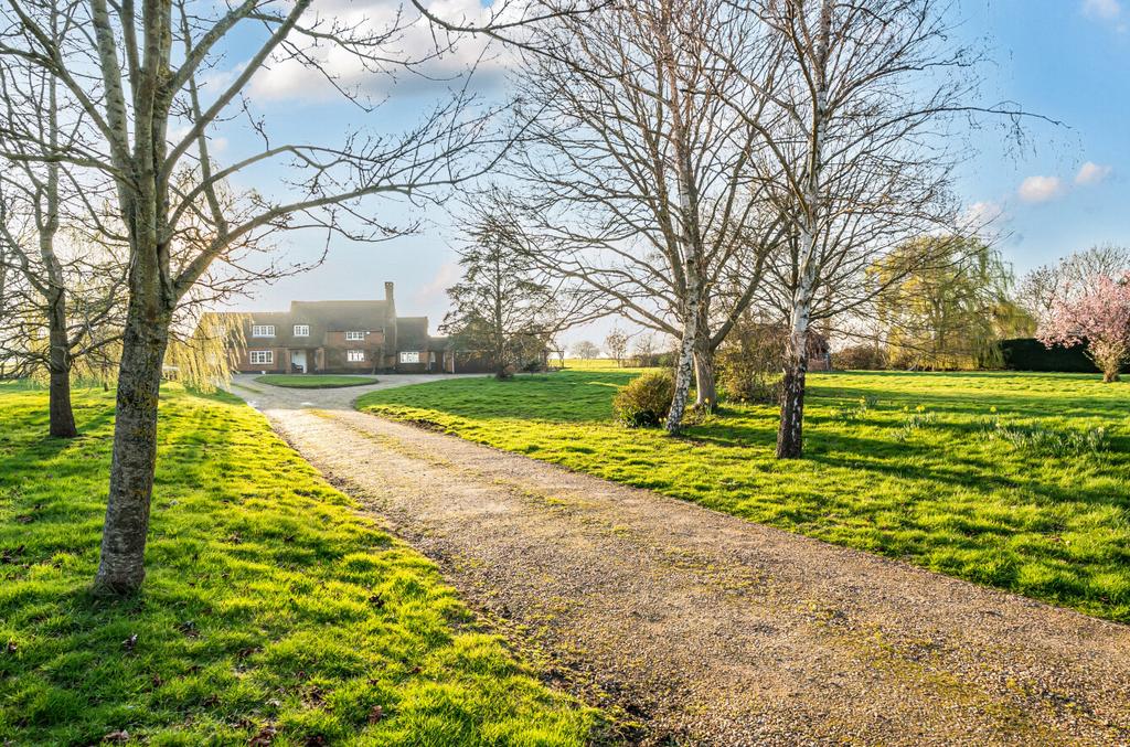 Driveway