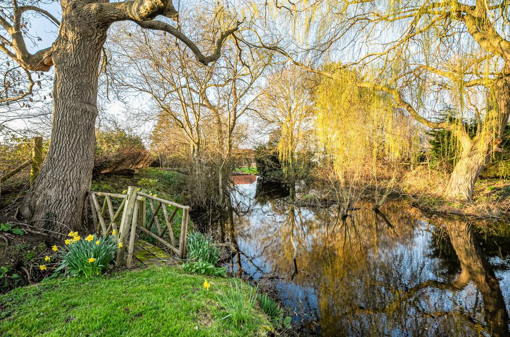 Stream