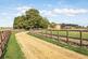 Northwold photo 4