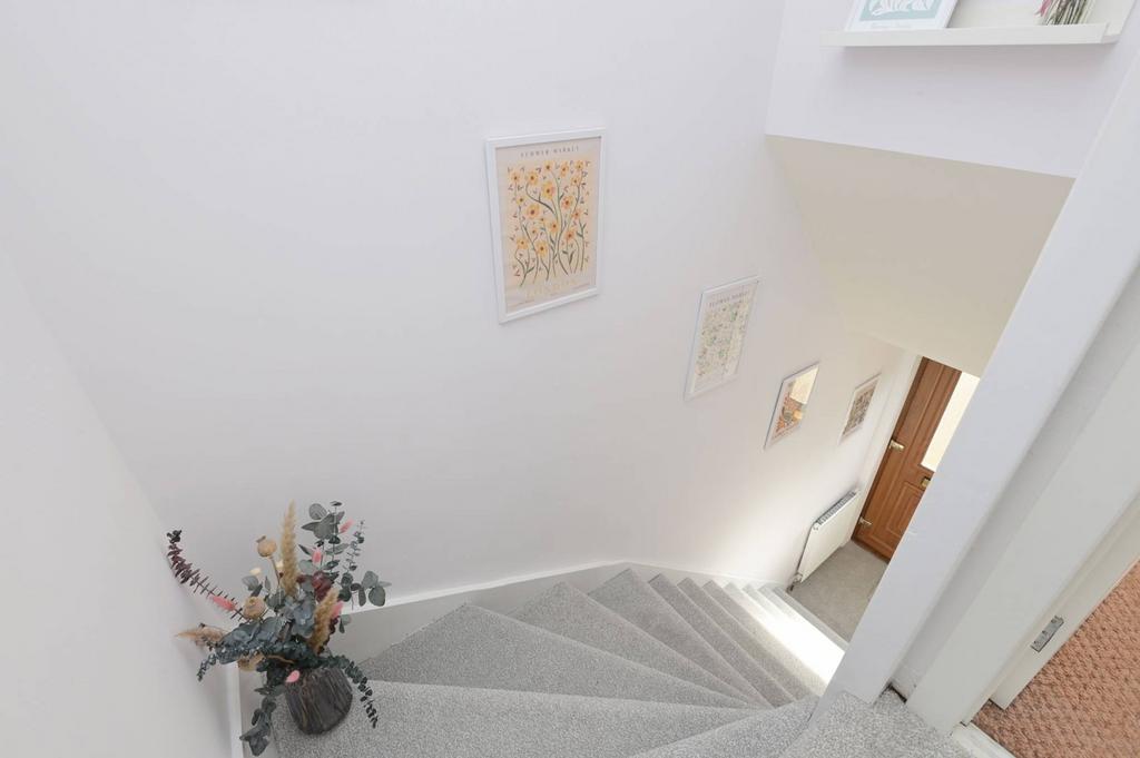 MFL6257860 505.jpg