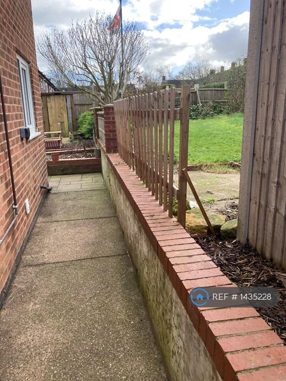 Back Garden