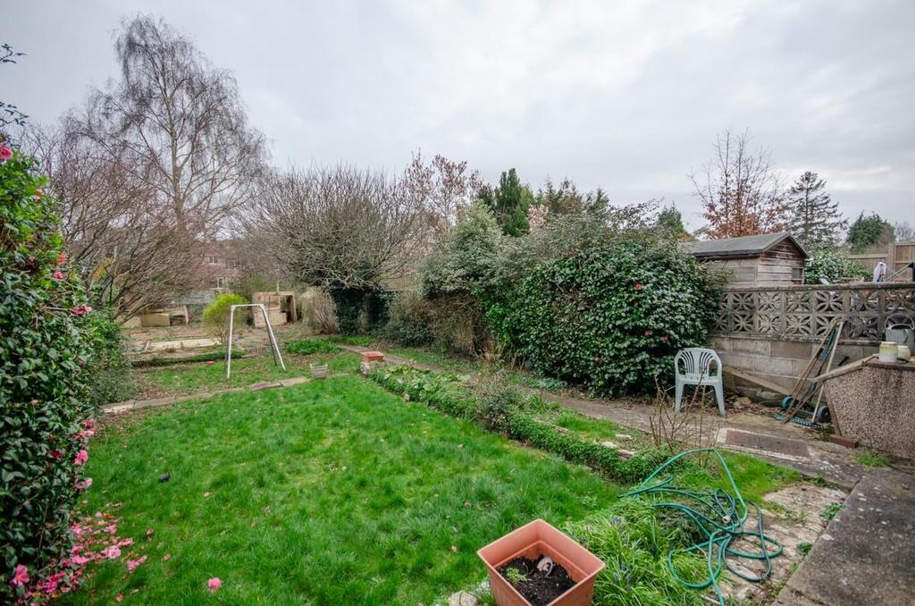 Rear garden.jpg