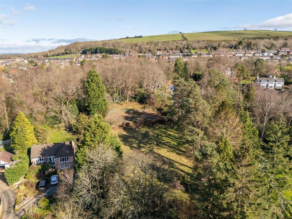 DJI 20260310131934 0082 D-HDR.jpg