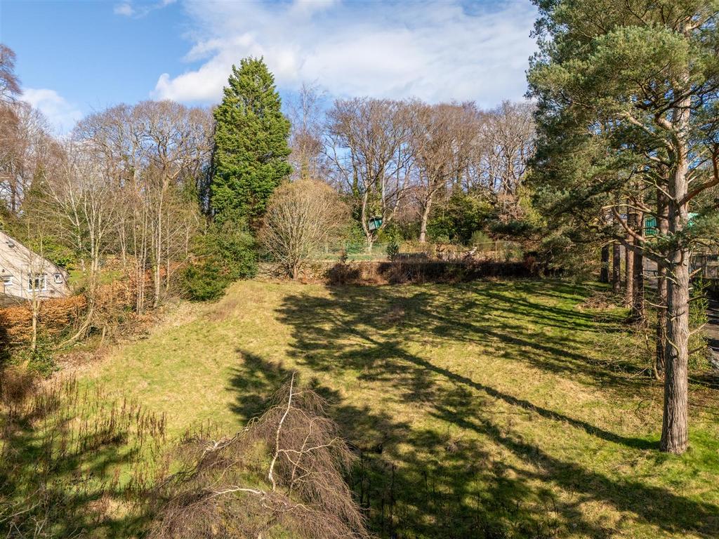 DJI 20260310131438 0075 D-HDR.jpg