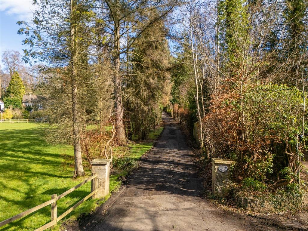 DJI 20260310130445 0056 D-HDR.jpg