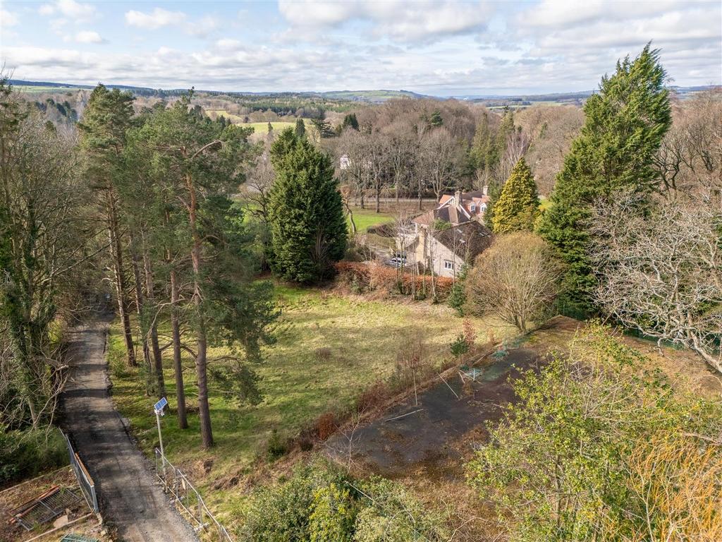 DJI 20260310130012 0036 D-HDR.jpg
