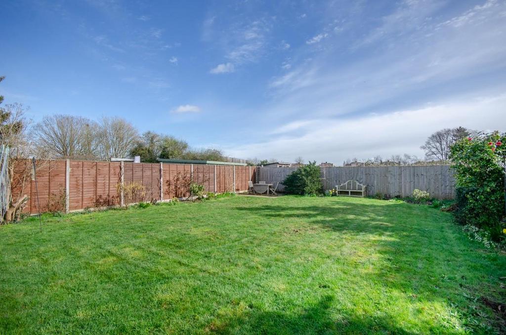 Garden pic 2.jpg