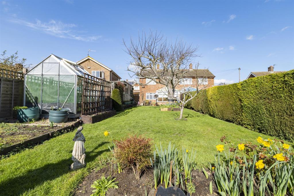 Garden 3 .jpg