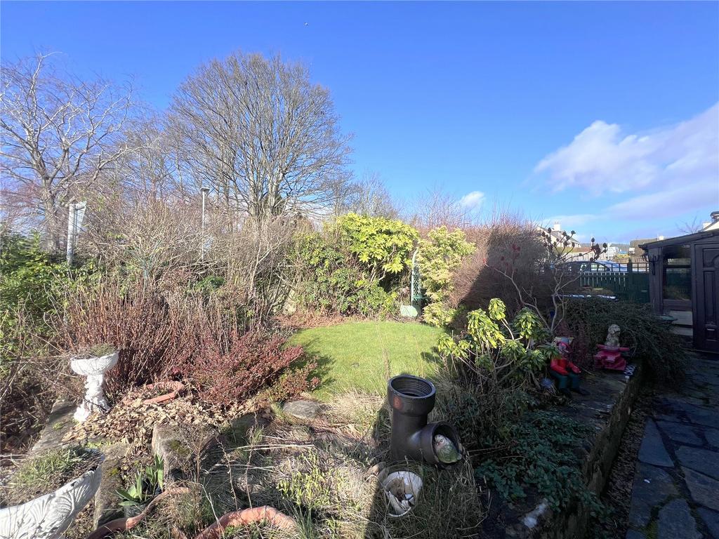 Picture No. 16