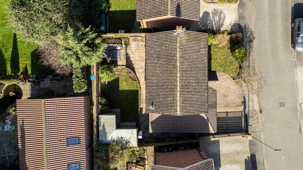 DJI 20260303131357 0006 D.jpg