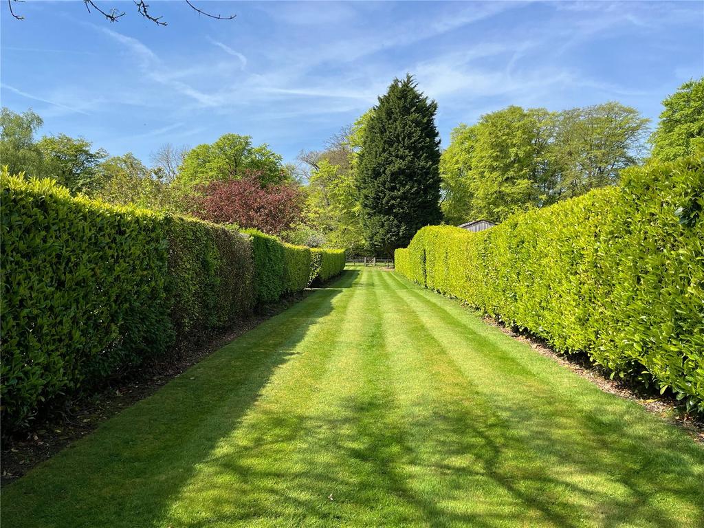 Judges Walk