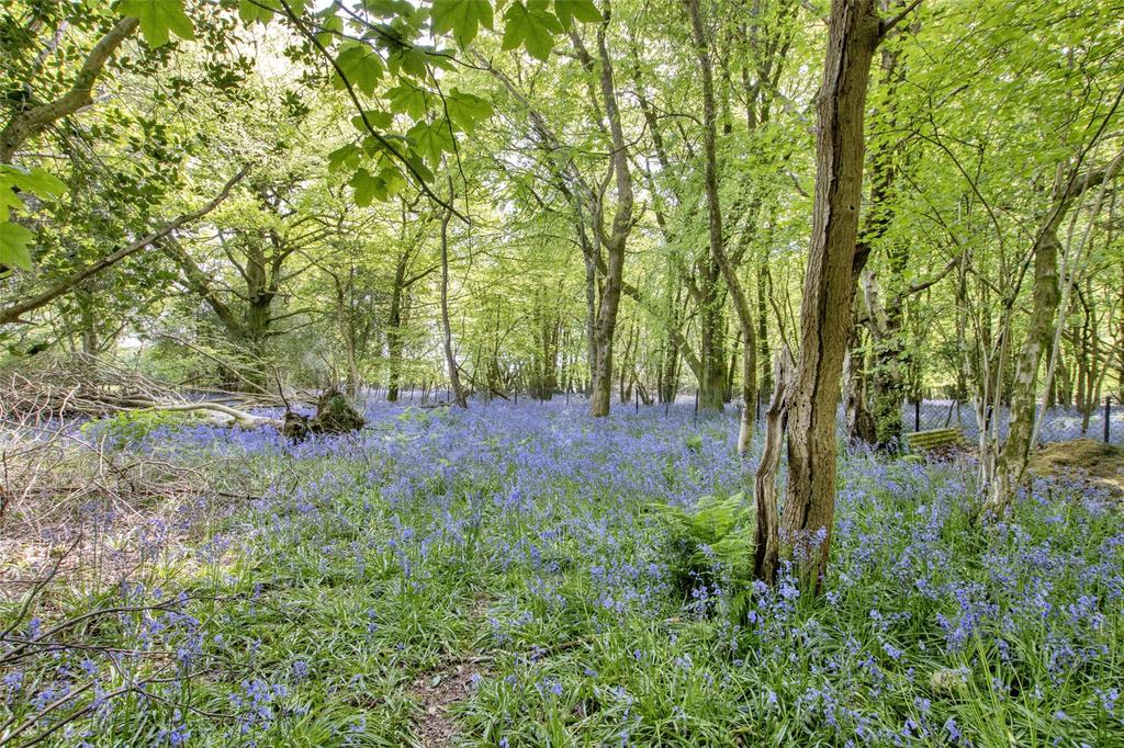 Woodland