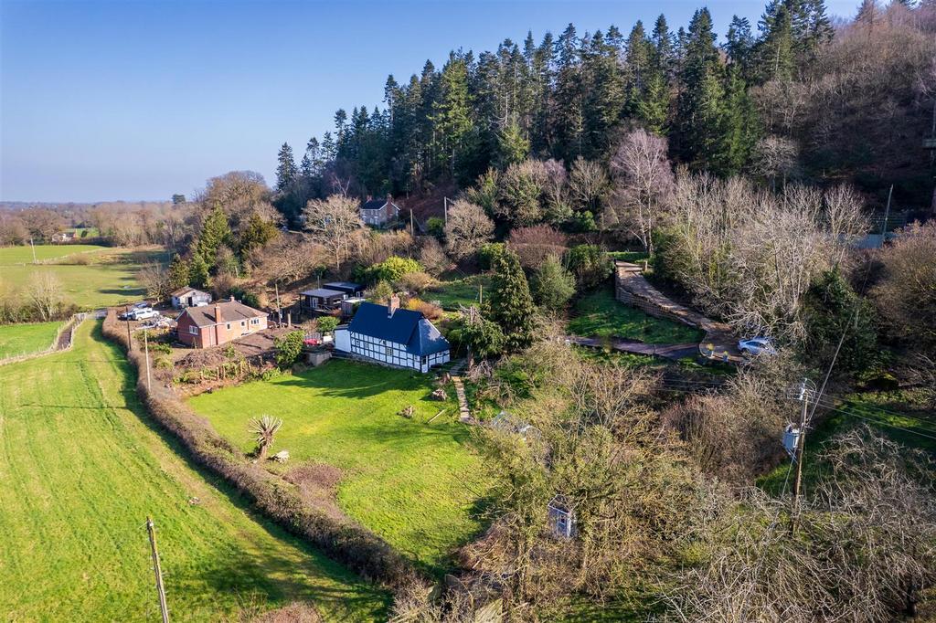 DJI 0016.jpg