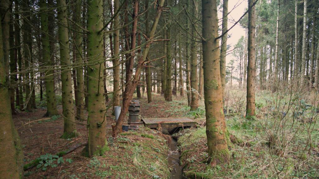 Copy of pond drainage 1
