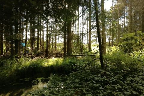 undefined, Land lying to the west of Moss Lane, Holme