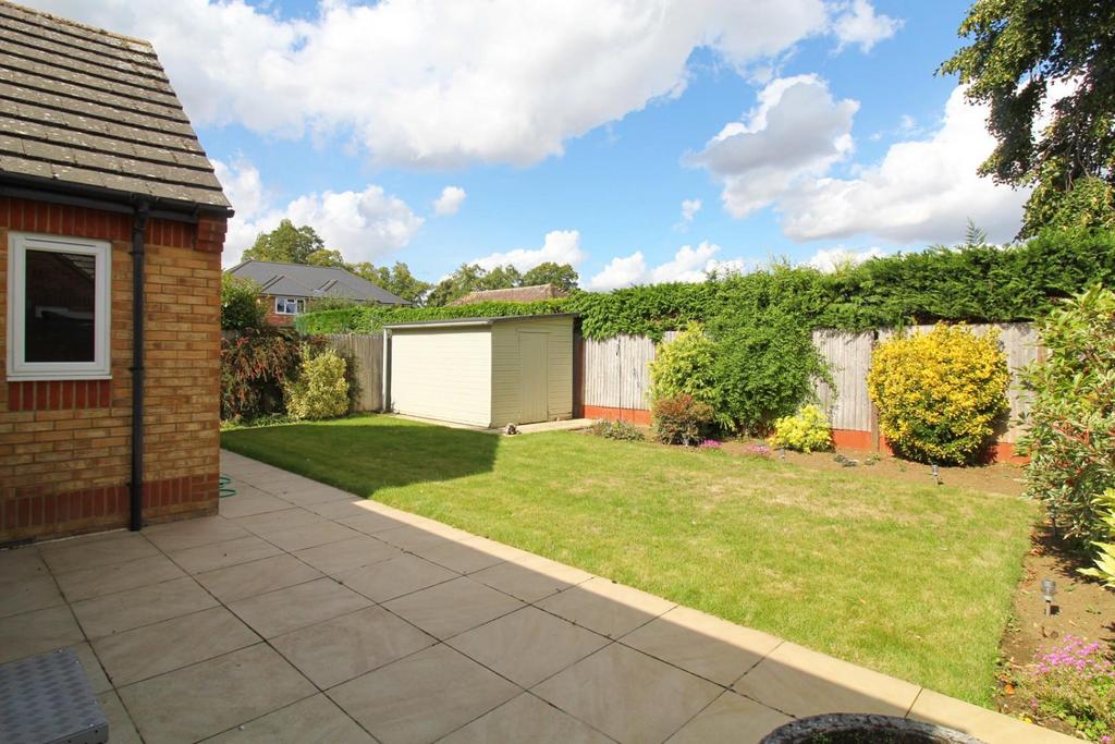 IMG 2032 in Pixio.jpg