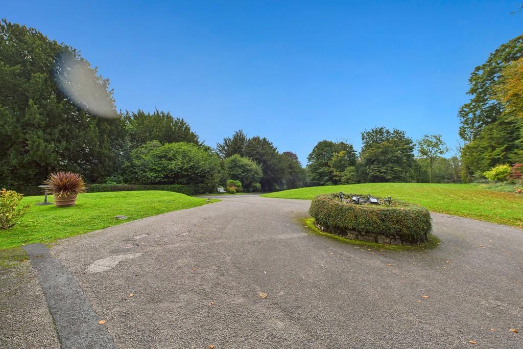 Garden and Driveway