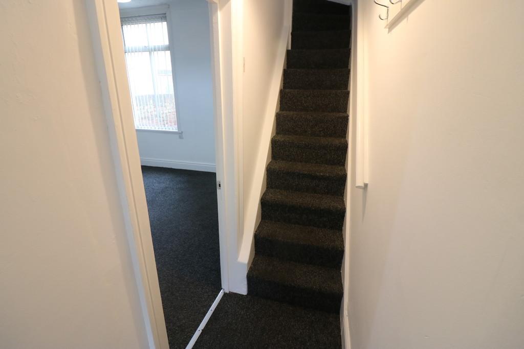 Img 7517