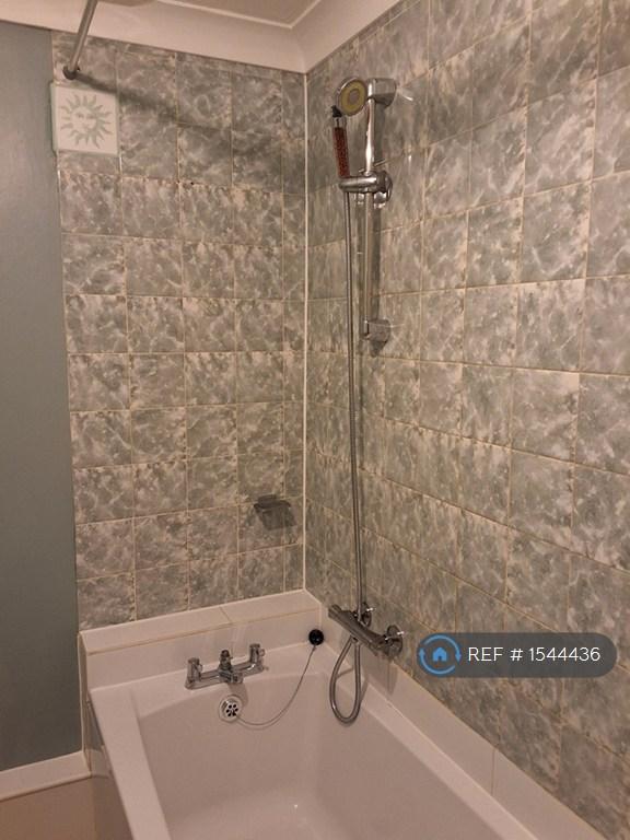 Shower Over Bath
