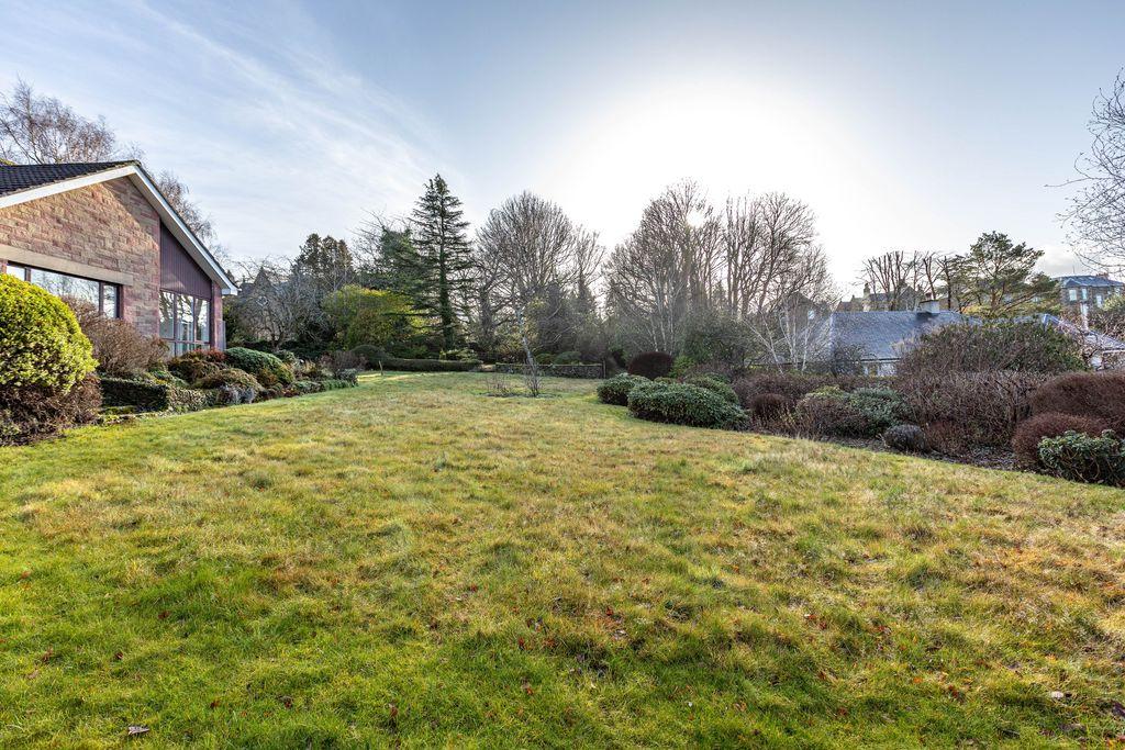 Back Garden