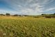 Additional image 3 of Lot 1 - House Site Backfield Farm, Drumlithie, Stonehaven, Aberdeenshire, AB39