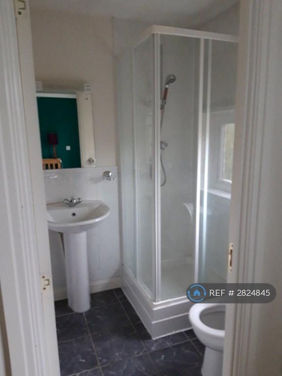 1st Bedroom Toilet And Shower