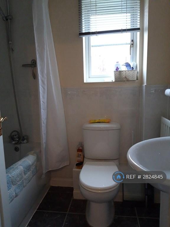 Upstairs Toilet And Bath