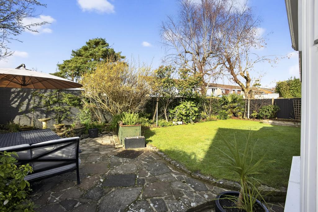 Mature Garden