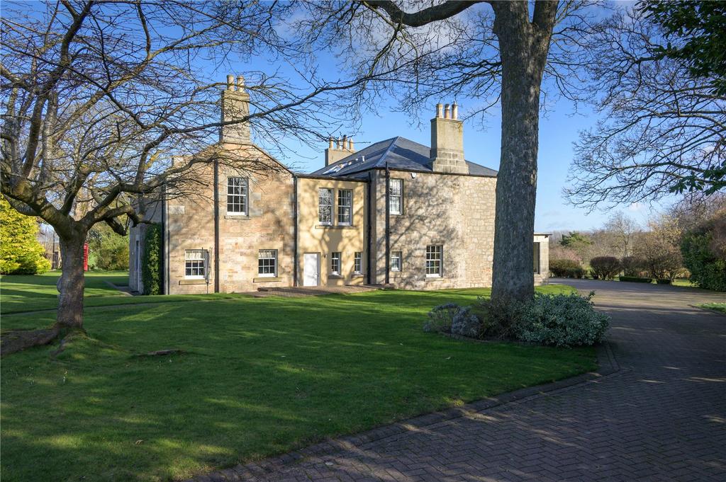 Back Of House