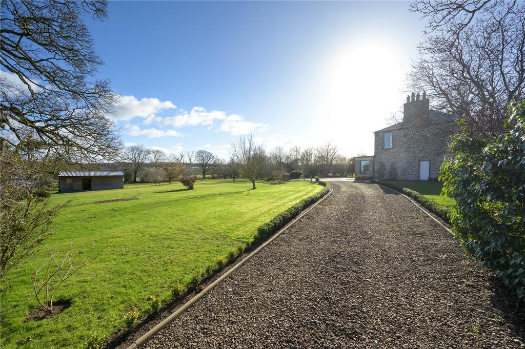 Driveway