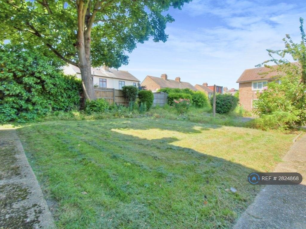 Back Garden