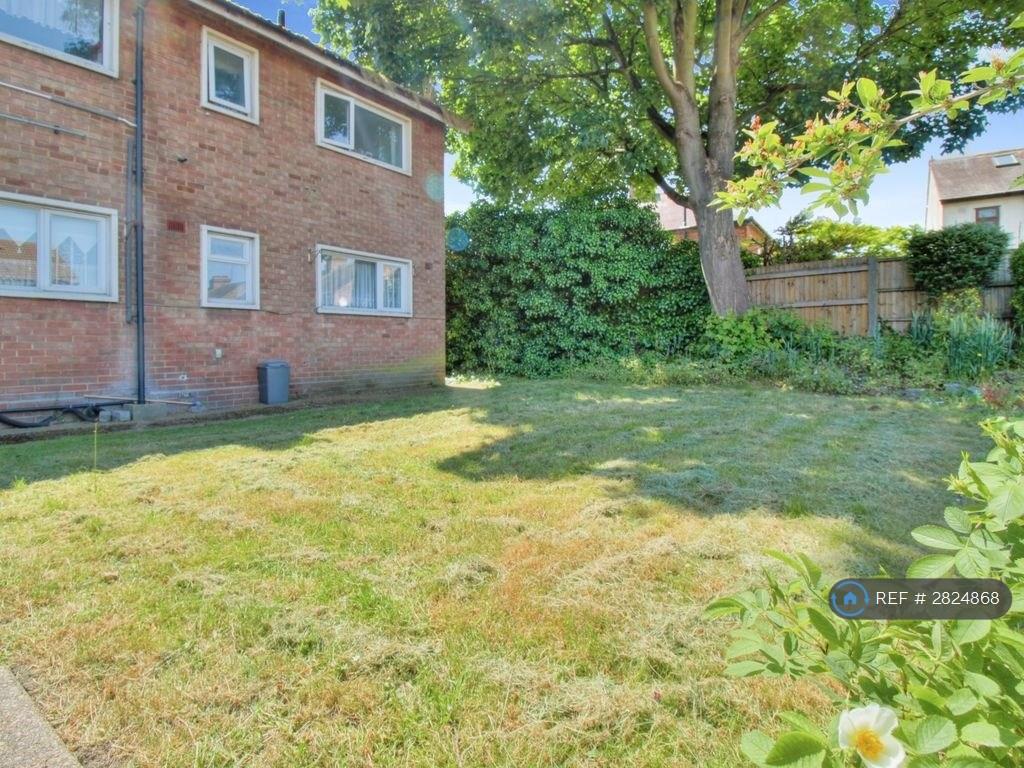 Back Garden