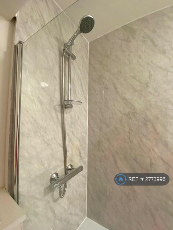 Thermostatic Shower