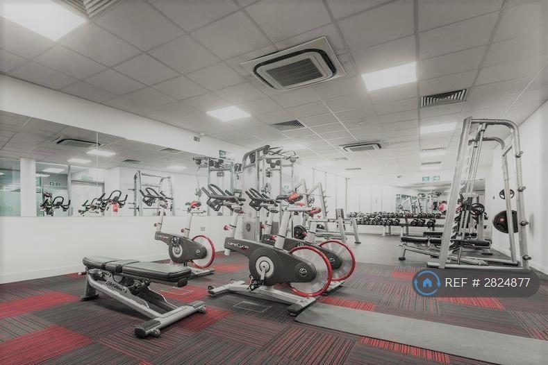 Private Gym