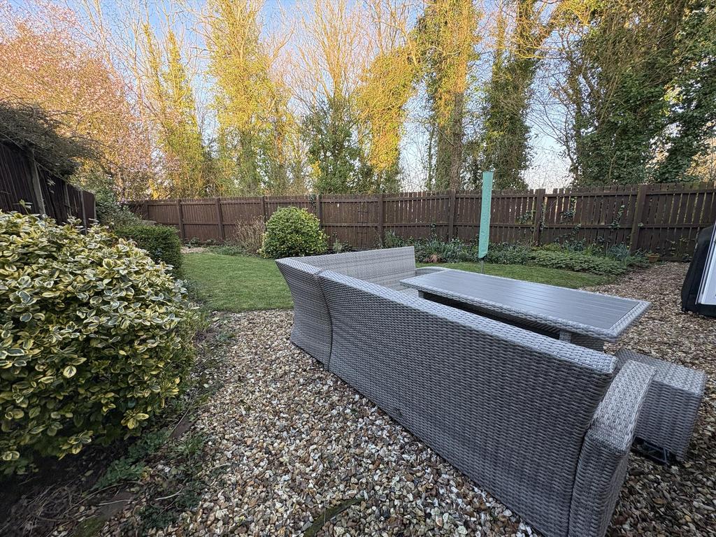 Garden Pic 2