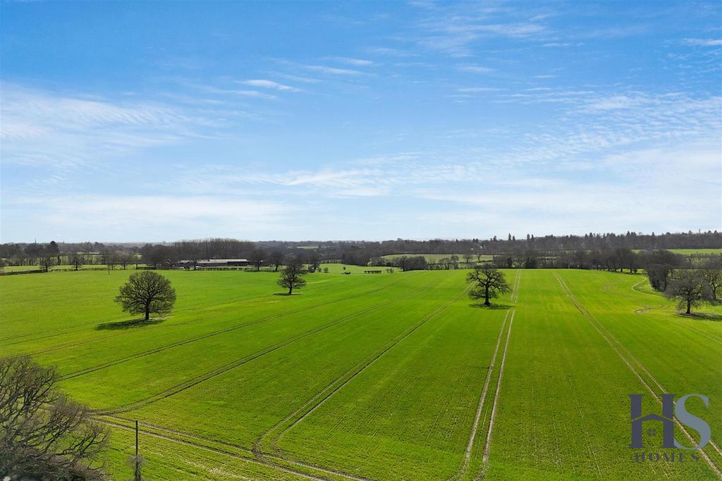 Dji fly 20260311 114350 0125 1773256507615 photo.j