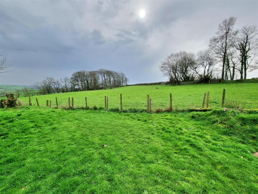 Field Views 1.jpg