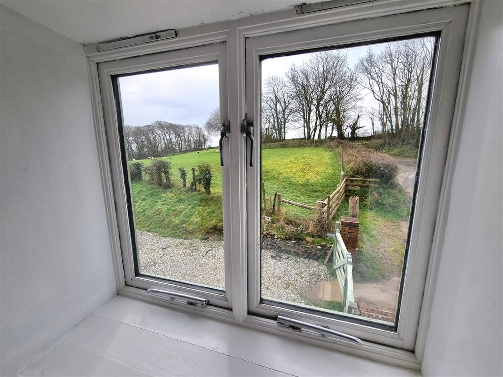 Window.jpg