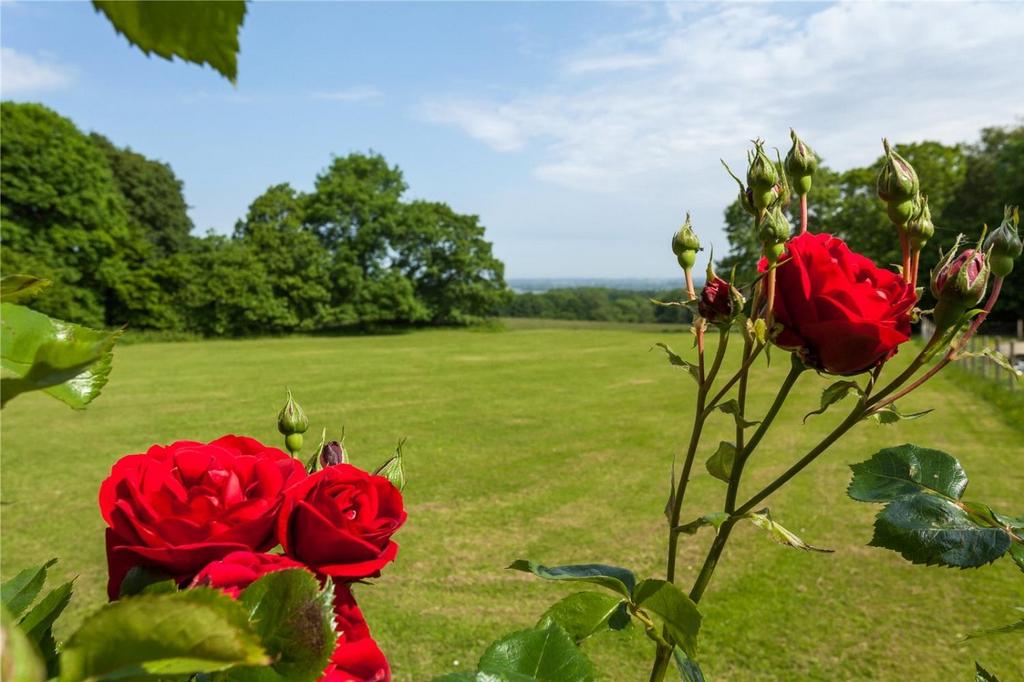 Gate House Farm Garden