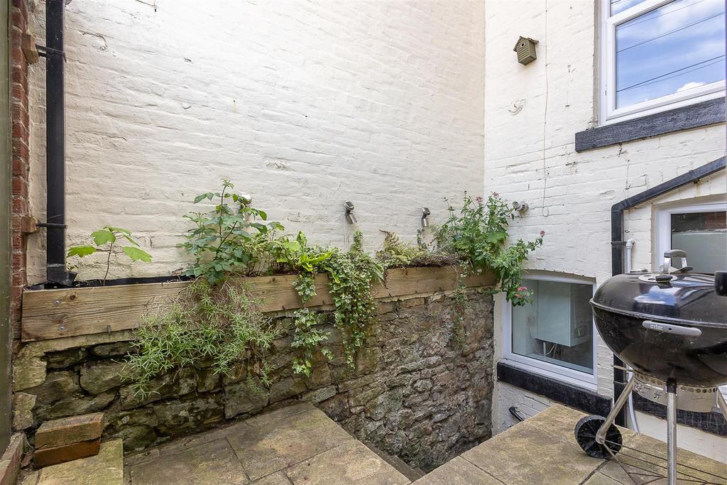 Rear Yard