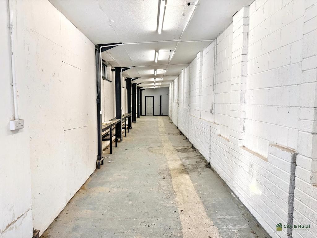 IMG 8800 T202603032247.jpg