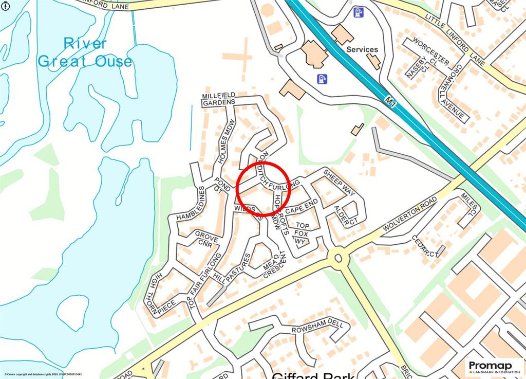 Street Map