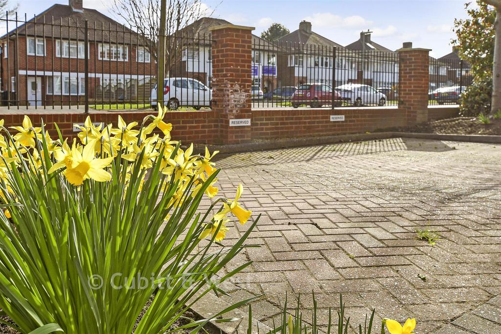 Driveway/Parking