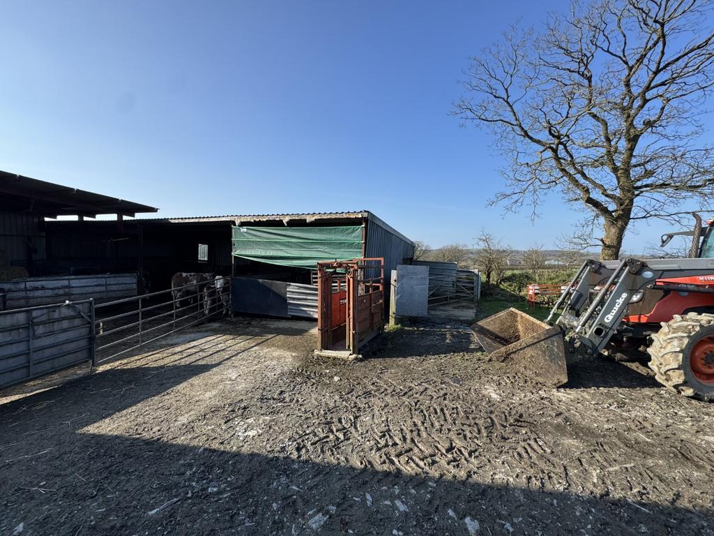 Yard Area