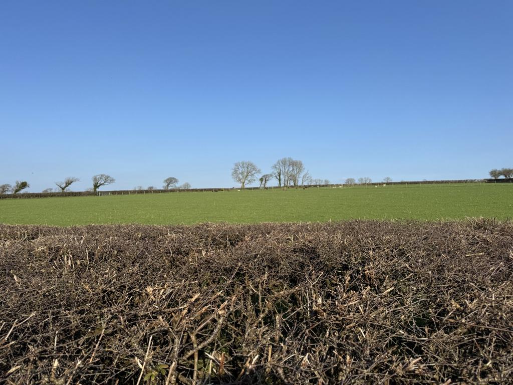 The Land